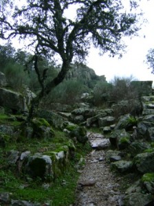 Monfrague 011