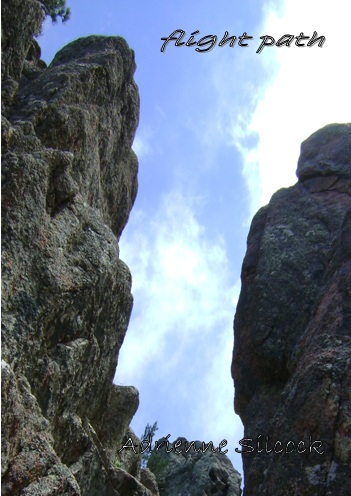 FlightPathCover