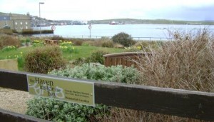 George Mackay Brown garden